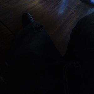 Meet your Posher, Gray